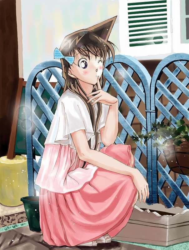 Detective Conan: Secondary erotic images that can be made into Onaneta of Ran Mori 14