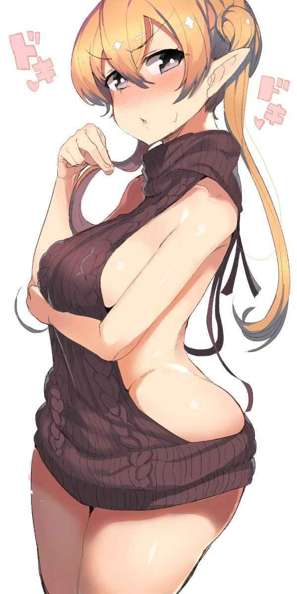 Erotic anime summary Erotic image collection of beautiful girls wearing sweaters that kill virgins [40 sheets] 40