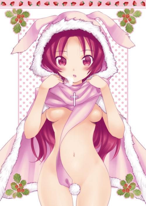 Kyoko Sakura's sexy and missing secondary erotic image collection [Magical Girl Madoka Magica] 16