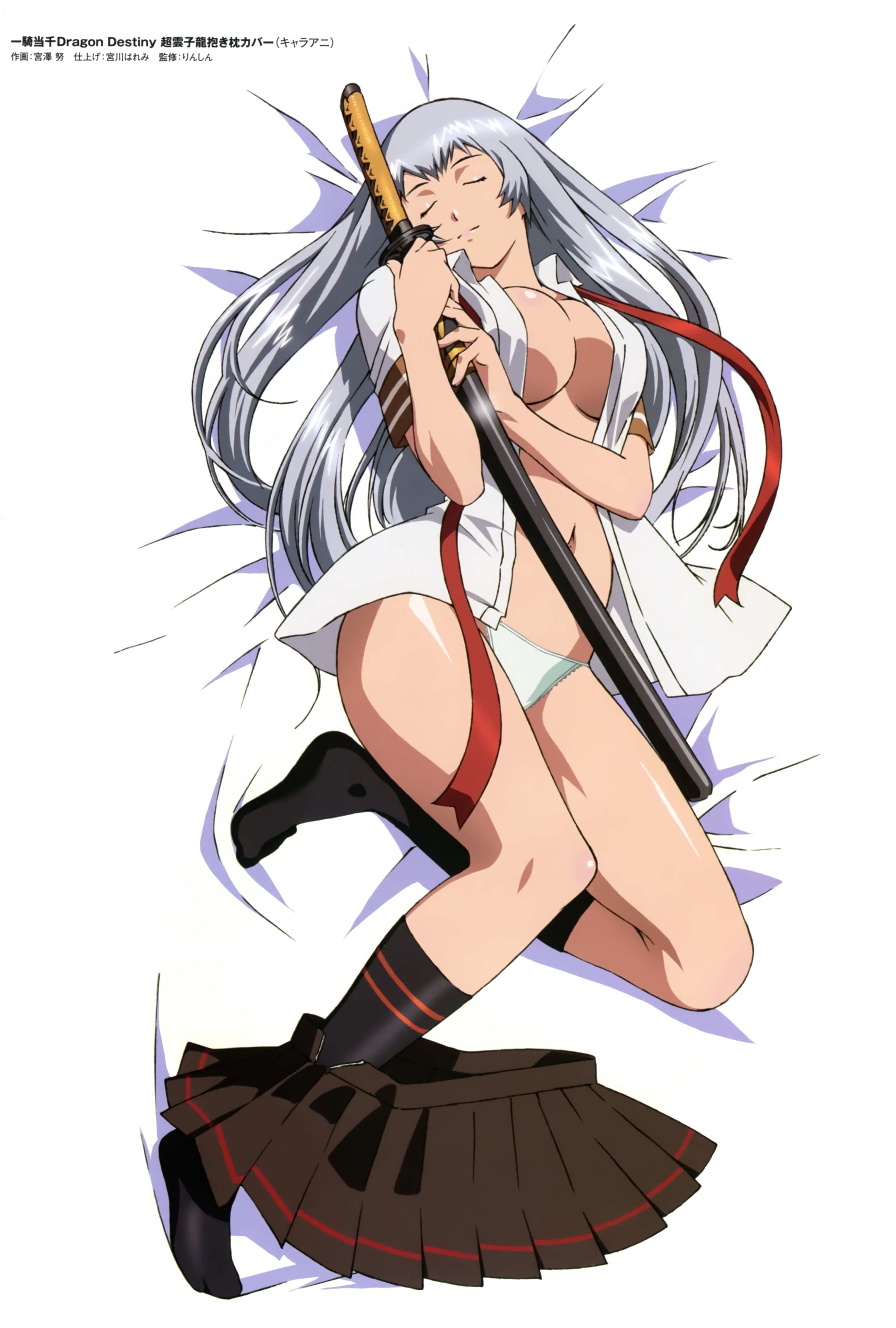 【Image】Queen's Blade and The Erotic Anime ... 111