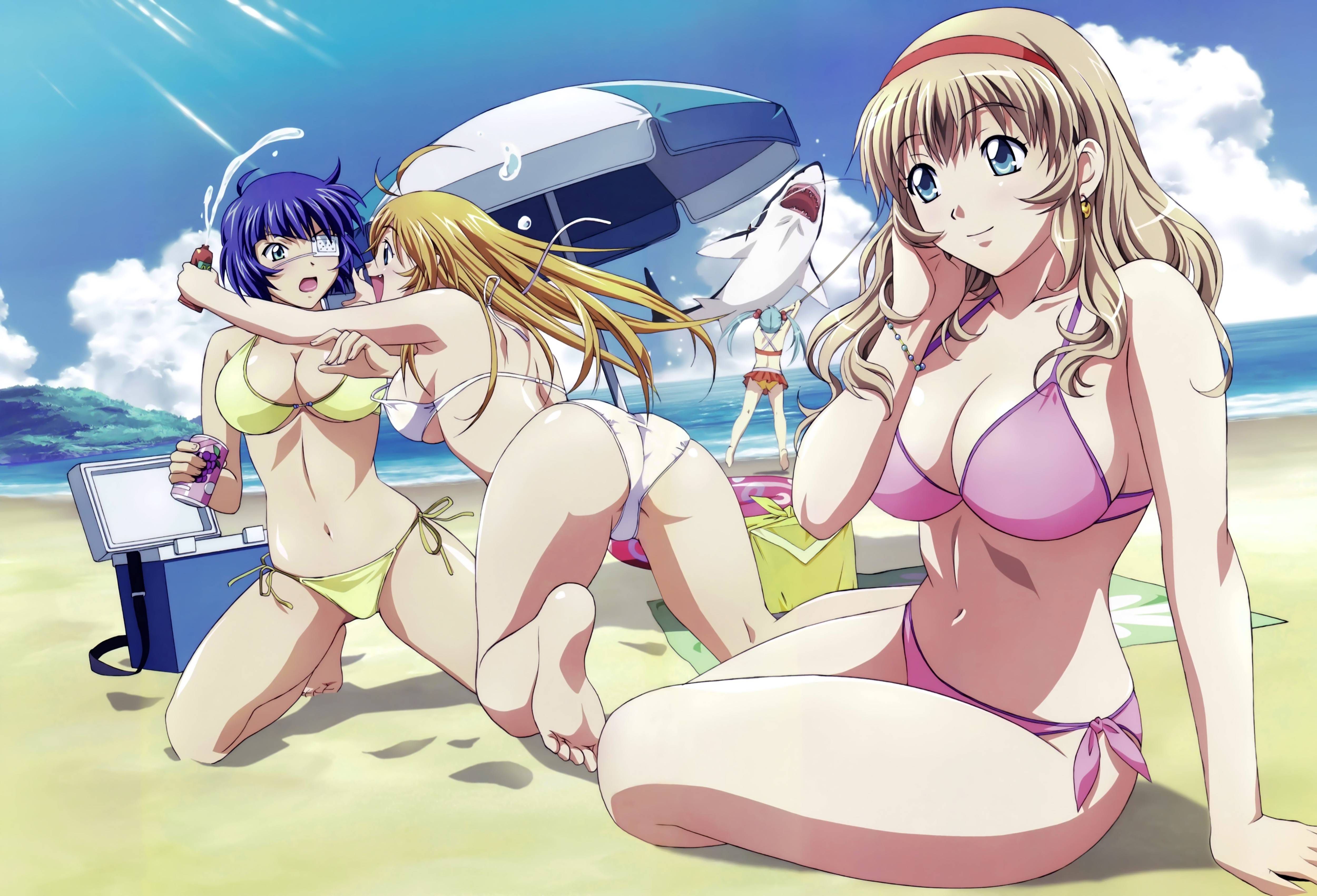 【Image】Queen's Blade and The Erotic Anime ... 114