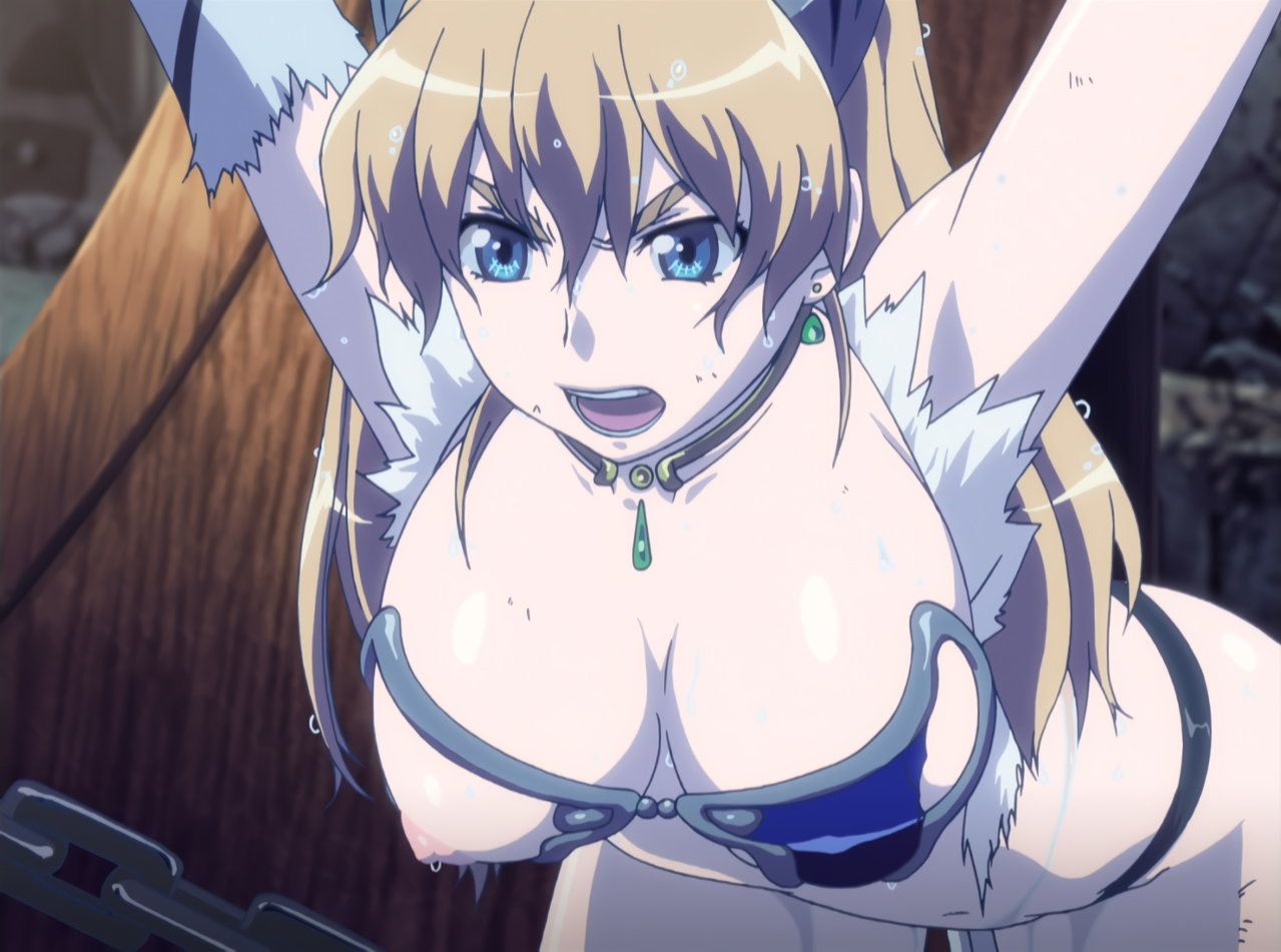 【Image】Queen's Blade and The Erotic Anime ... 36