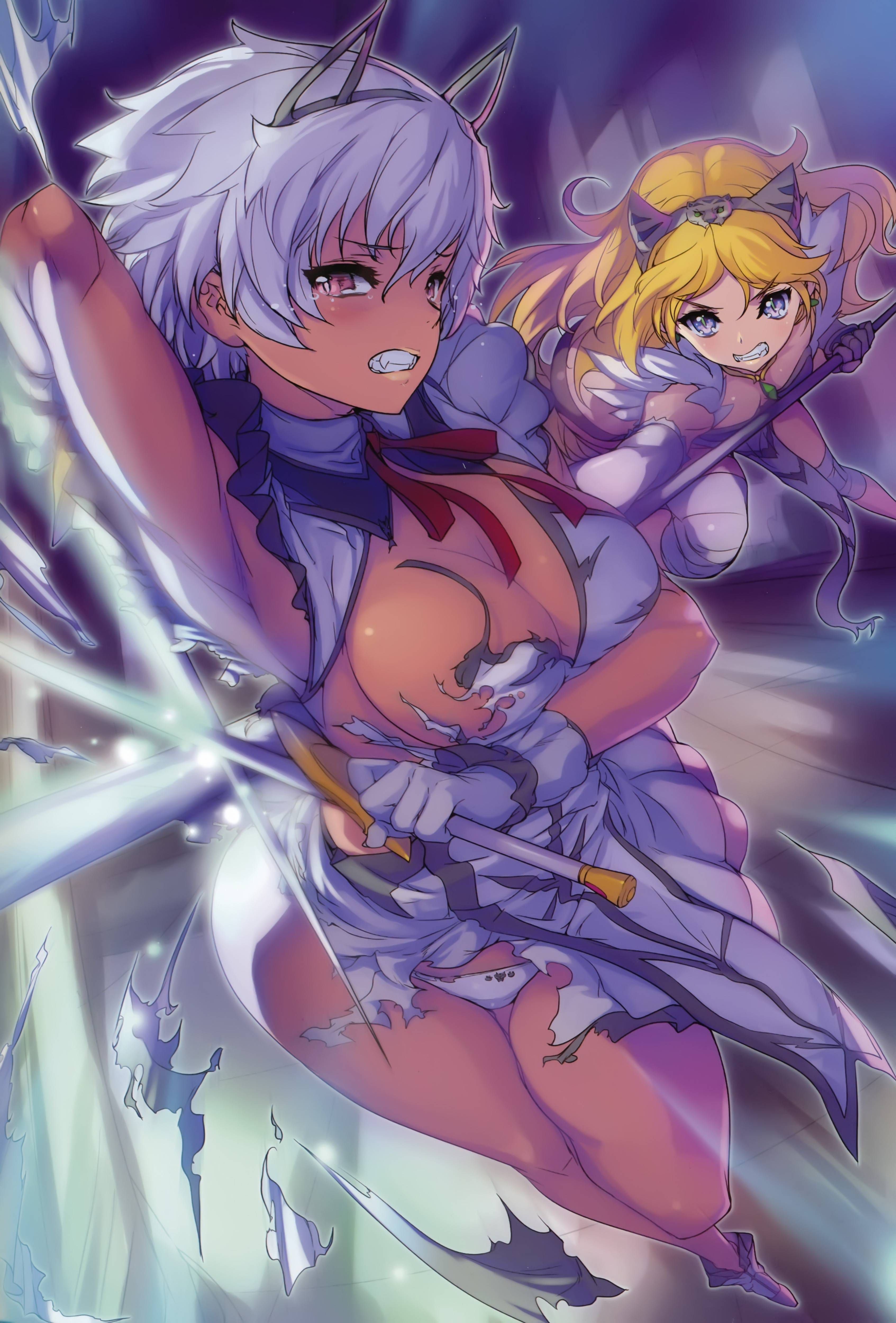 【Image】Queen's Blade and The Erotic Anime ... 91