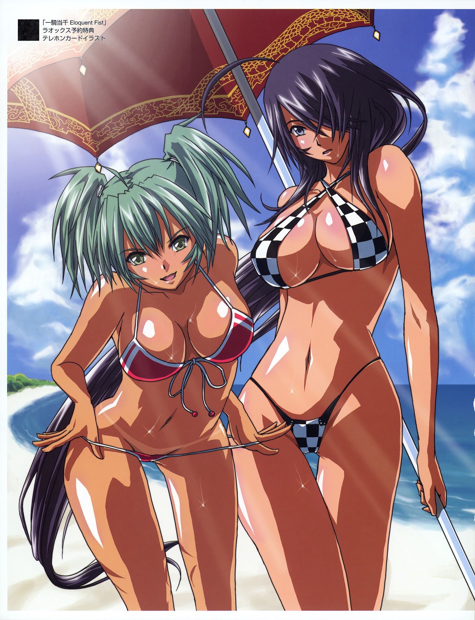 【Image】Queen's Blade and The Erotic Anime ... 95