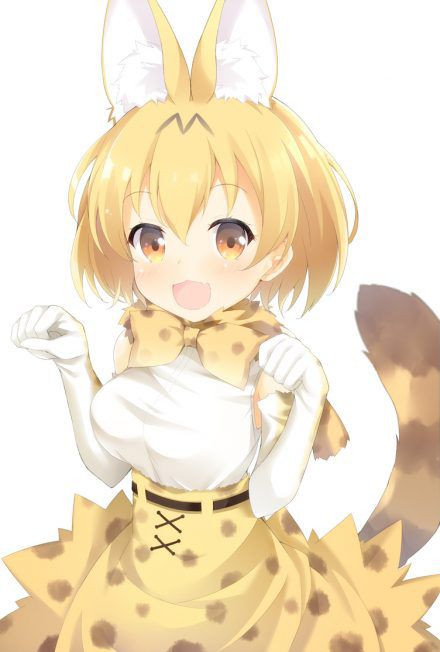 【Kiyon Friends】Serval's missing sex photo images collection 27