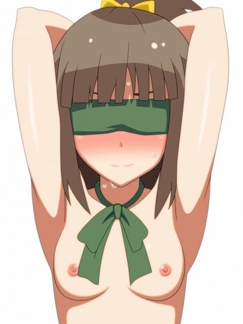 Girls who feel comfortable with blindfold play [40 sheets] 13