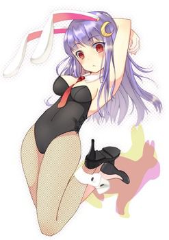 It is an erotic image of a bunny girl! 14