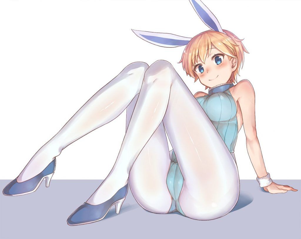 It is an erotic image of a bunny girl! 20