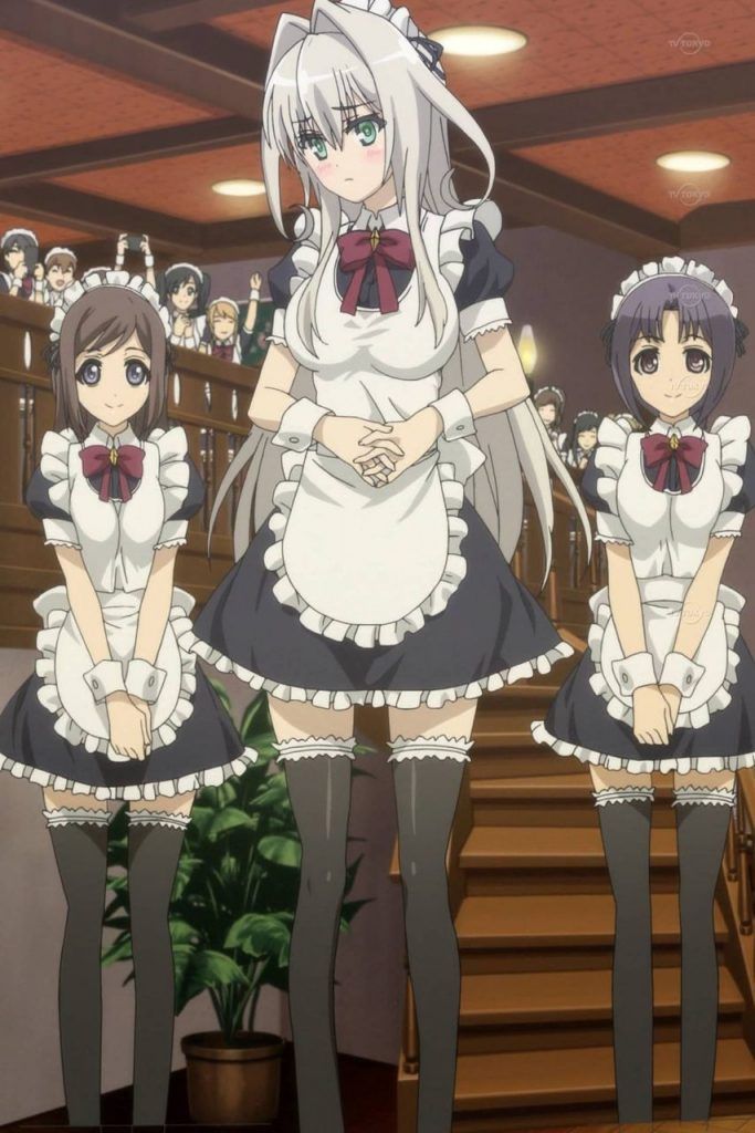 I want to make a shot with the image of a maid 14