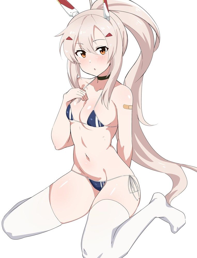 Show me my best swimwear image folder 11