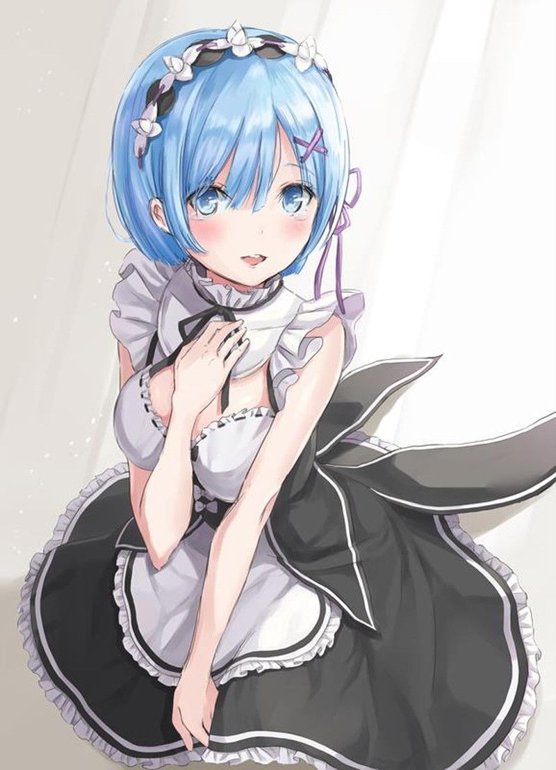Rem's as much as you like Secondary erotic image [Re: Life in a different world starting from zero] 2