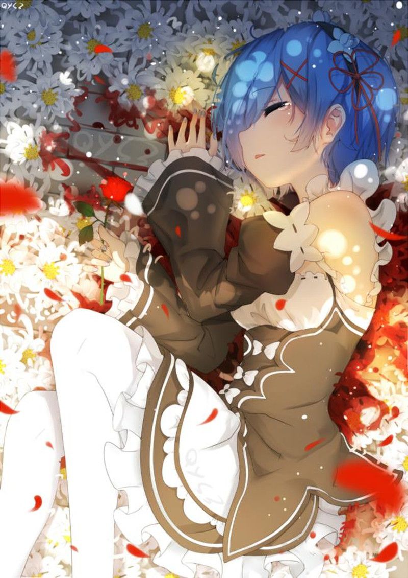 Rem's as much as you like Secondary erotic image [Re: Life in a different world starting from zero] 25