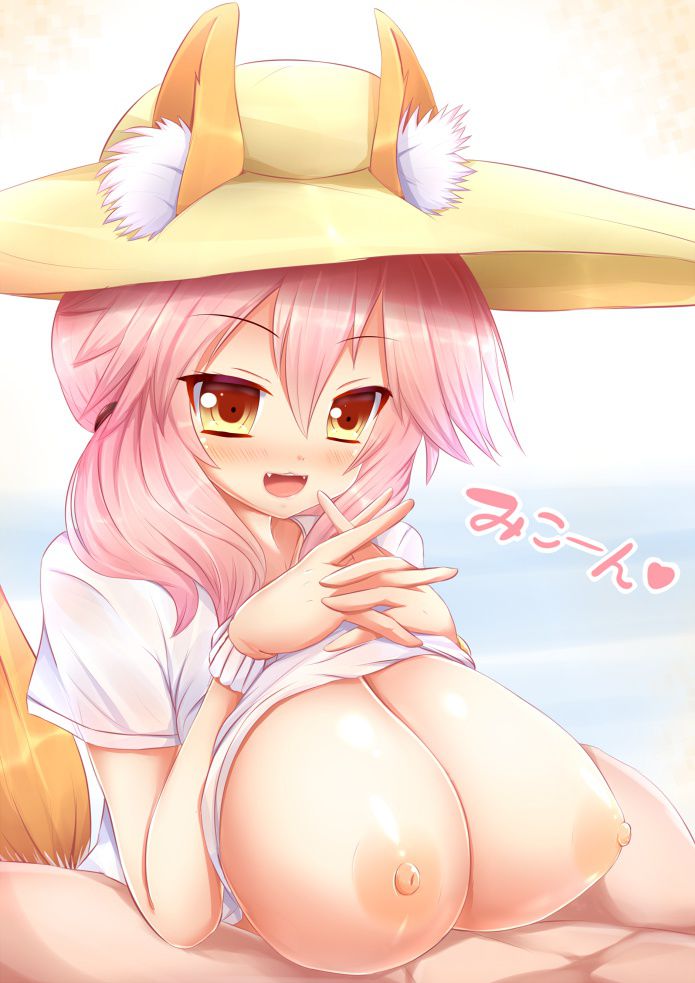 Fate: Cool and cute secondary erotic images in front of Tamamo 1