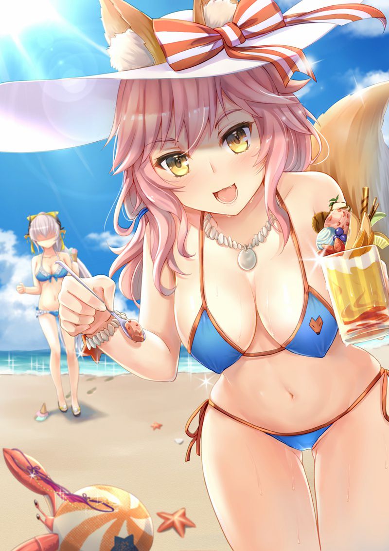 Fate: Cool and cute secondary erotic images in front of Tamamo 15