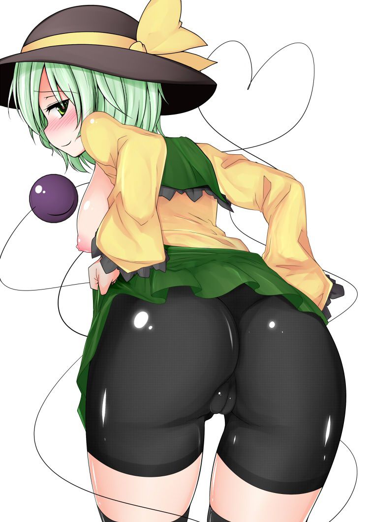 [Touhou Project] Koiji Koiji's erotic image! Part 6 12