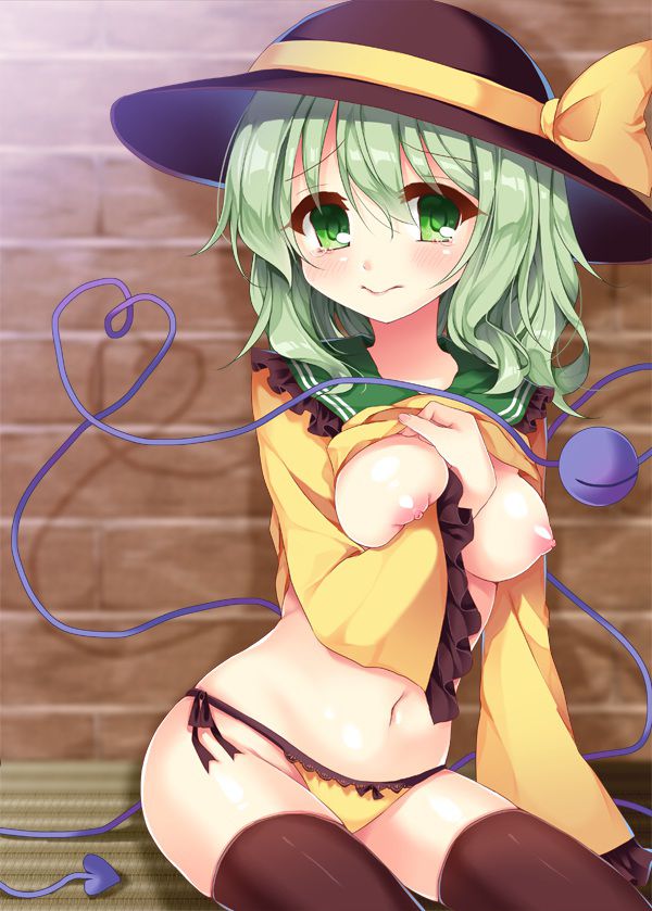 [Touhou Project] Koiji Koiji's erotic image! Part 6 17