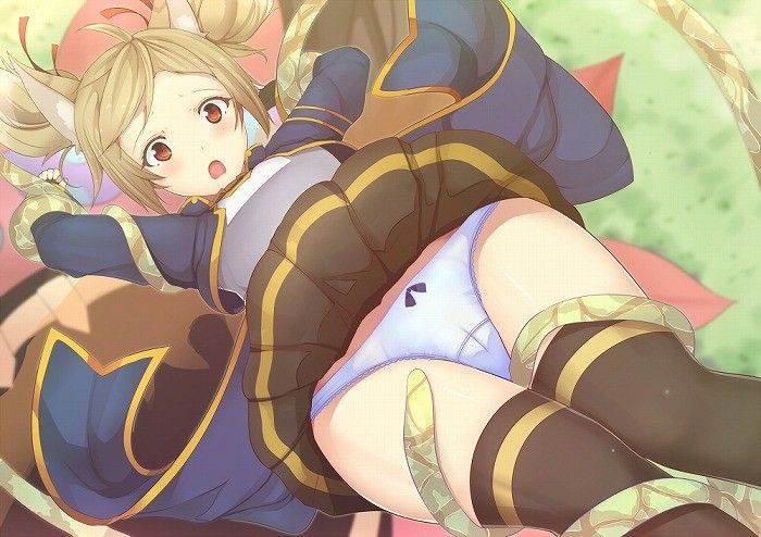 [Sword Art Online] Silica Moe cute secondary erotic image summary 4