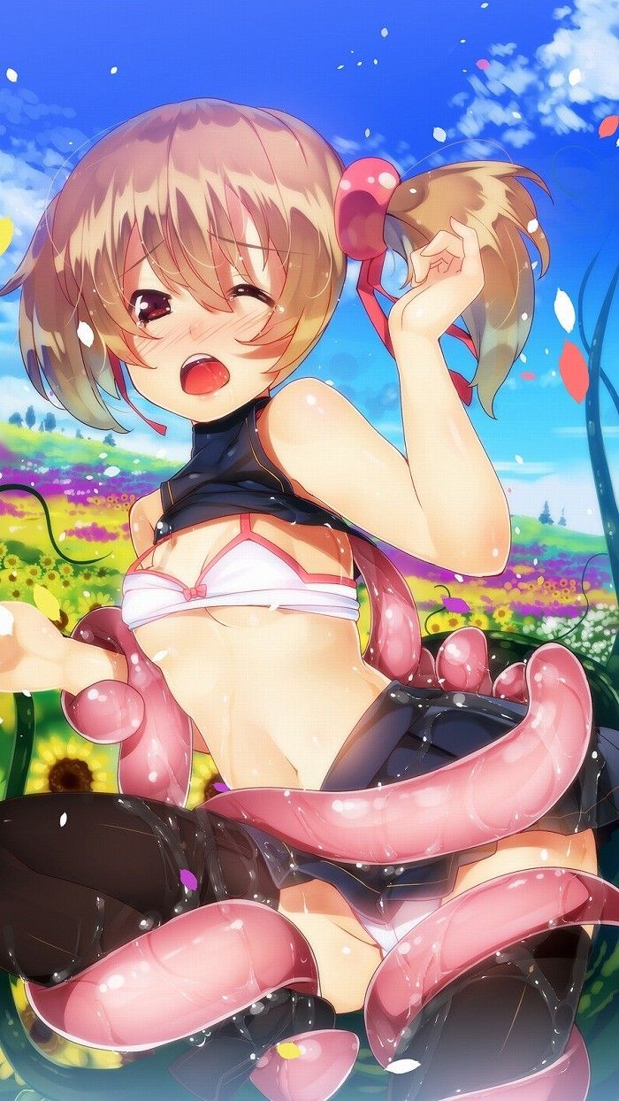 [Sword Art Online] Silica Moe cute secondary erotic image summary 9