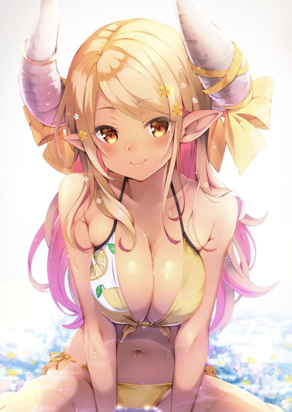 Granblue Fantasy Erotic Images 1