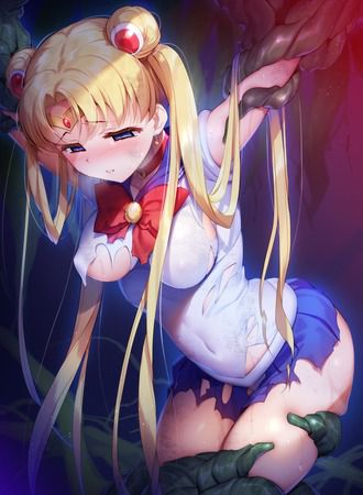 Erotic image I tried to collect images of cute Moonlight usagi, but it's too erotic ... (Sailor Moon) 6