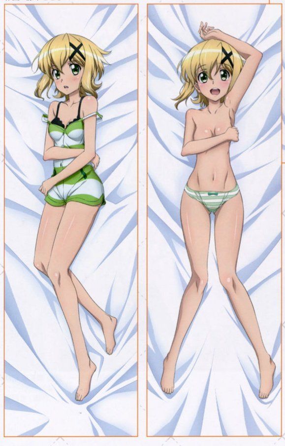 【Pillow】Anime /Game Erotic Pillow Cover Image Part 142 19