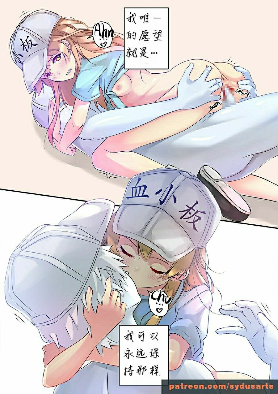 [Sydusarts] When Platelets Reach Adulthood (Cells at Work!) 工作细胞 血小板变得舒服 个人翻译 5