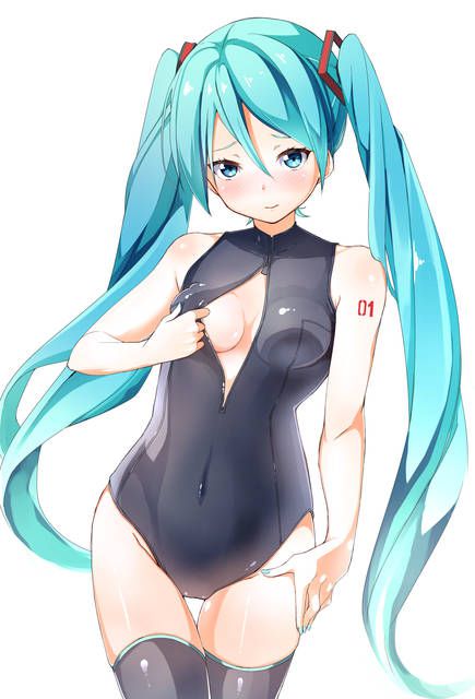 【Secondary erotic】Vocalist 's (Miku-san many) Ero image collection [35 sheets] 28