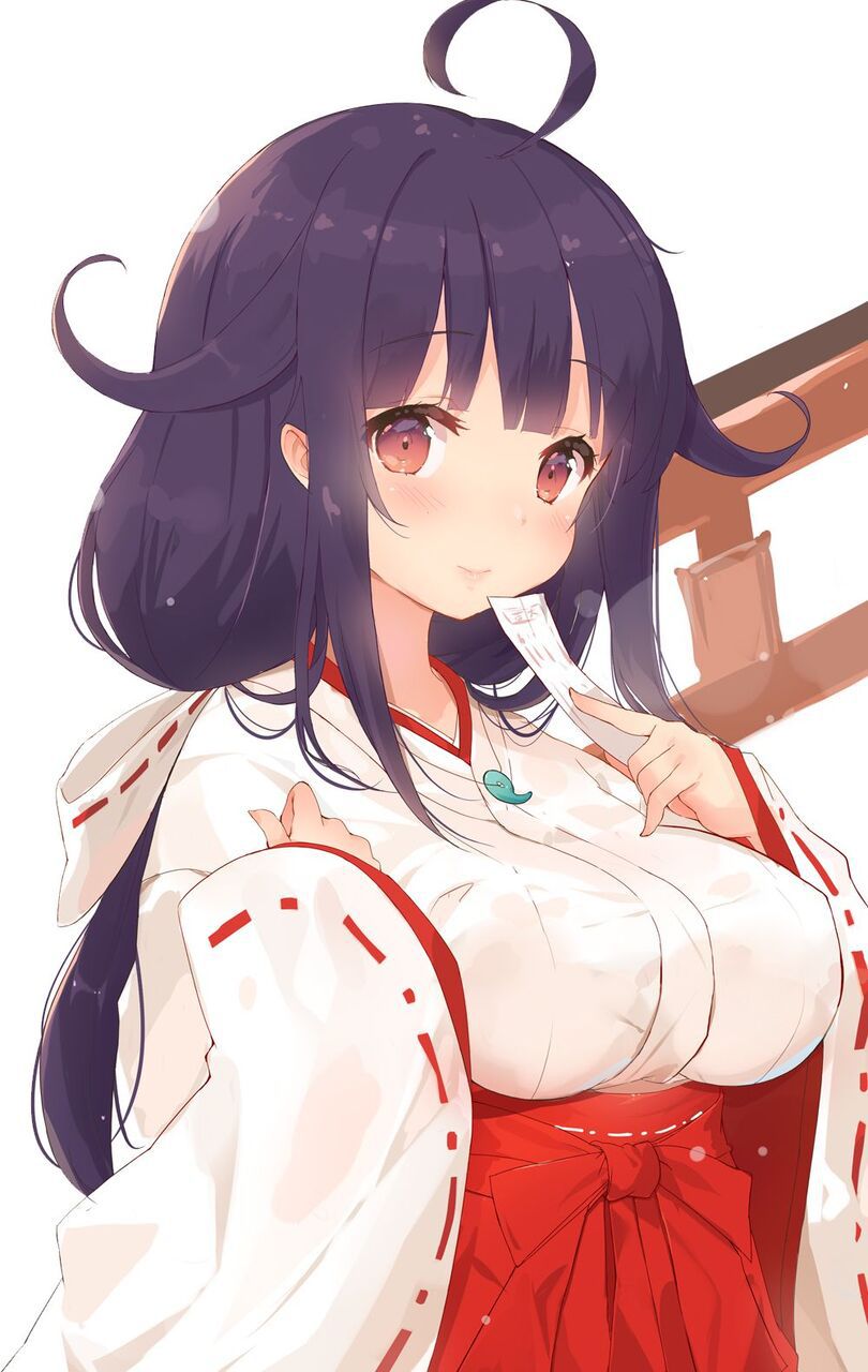 【Shrine maiden】I have never seen it except new year, so I will post an image of the shrine maiden Part 6 22