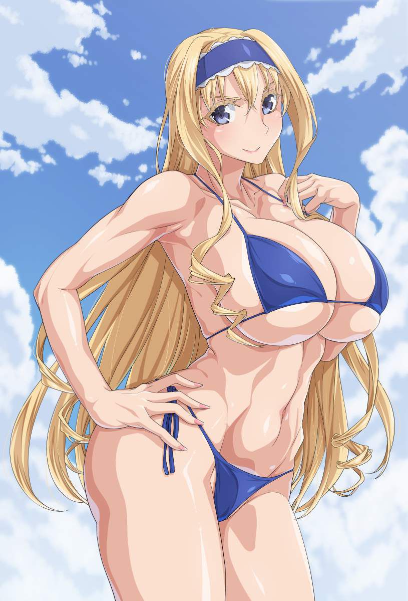Cecilia's erotic secondary erotic images are full of boobs! 【Infinite Stratos】 3