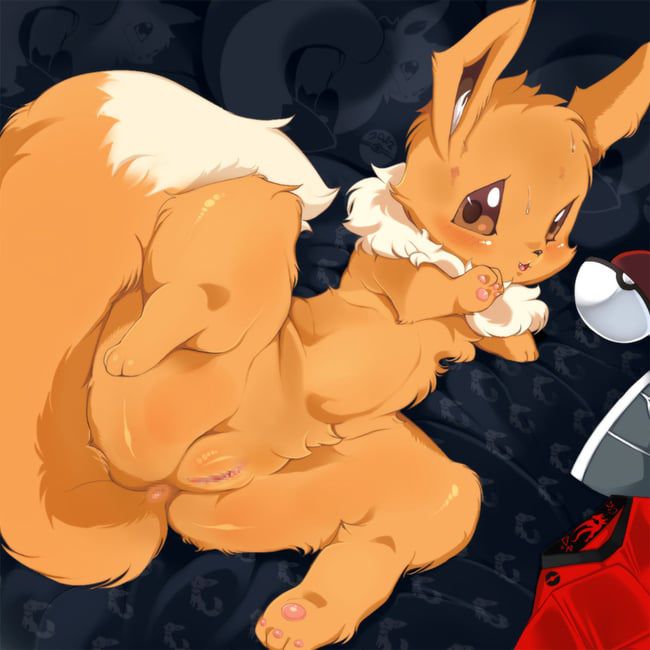 Erotic images of Pokémon [Eevee] 41