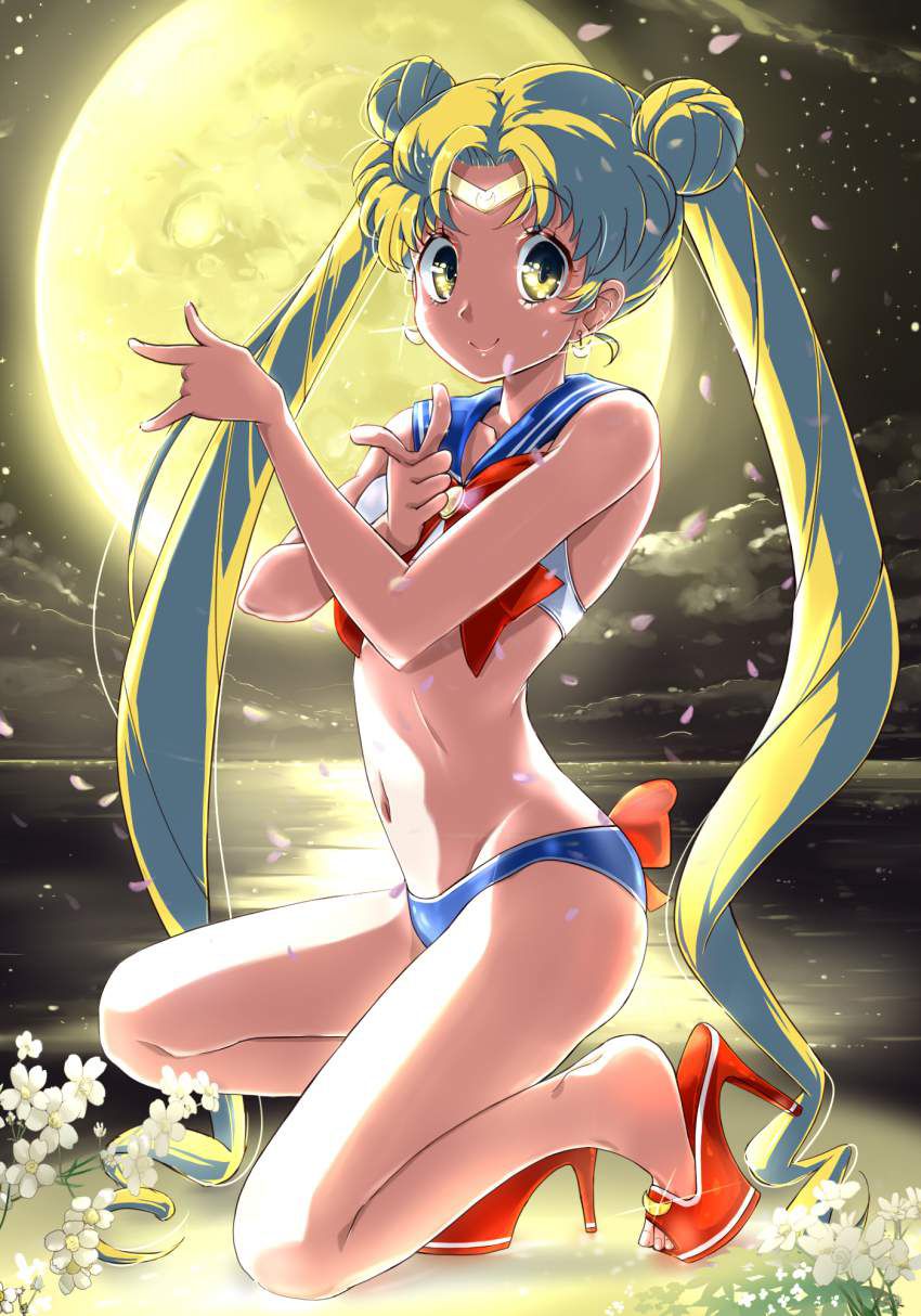 2nd erotic image that you can like the of Moonlight Usagi [Sailor Moon] 2