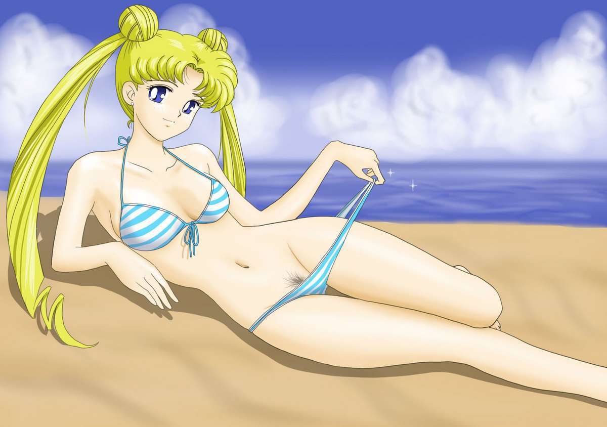 2nd erotic image that you can like the of Moonlight Usagi [Sailor Moon] 3