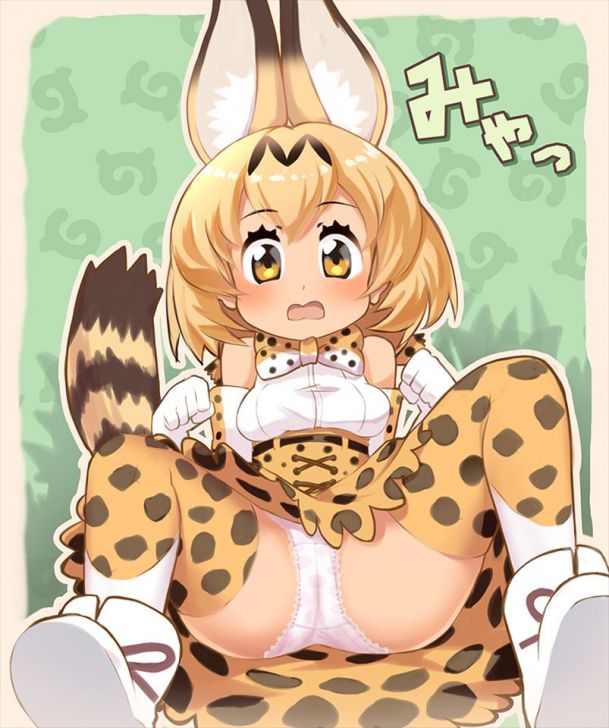 [Kemono Friends] Serable's unprotected and too erotic secondary Echi image summary 25