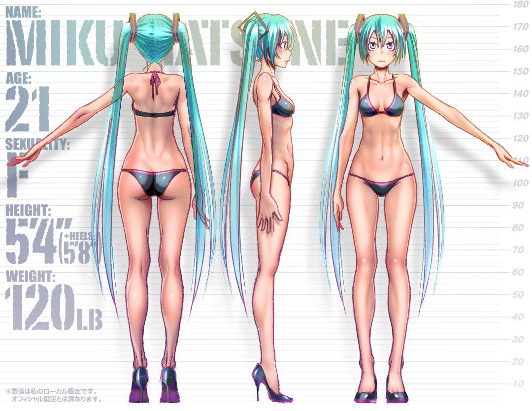 Hatsune Miku's as much as you like as much as you like secondary erotic images [vocalist lloyd] 29