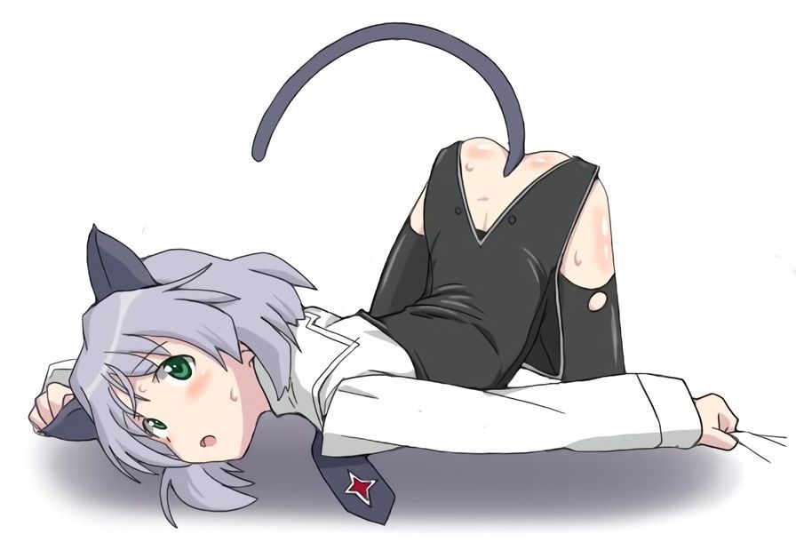 Erotic image of Sanya V. Litvjak's desperate sexy pose! [Strike Witches] 5