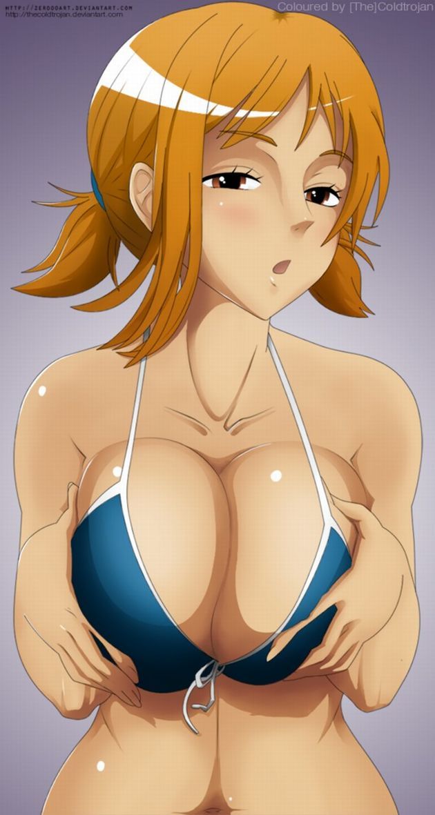 [One piece] Moe of Nami, cute secondary erotic image summary 2