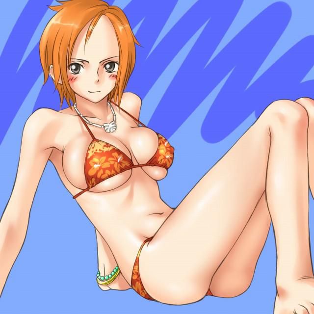 [One piece] Moe of Nami, cute secondary erotic image summary 24
