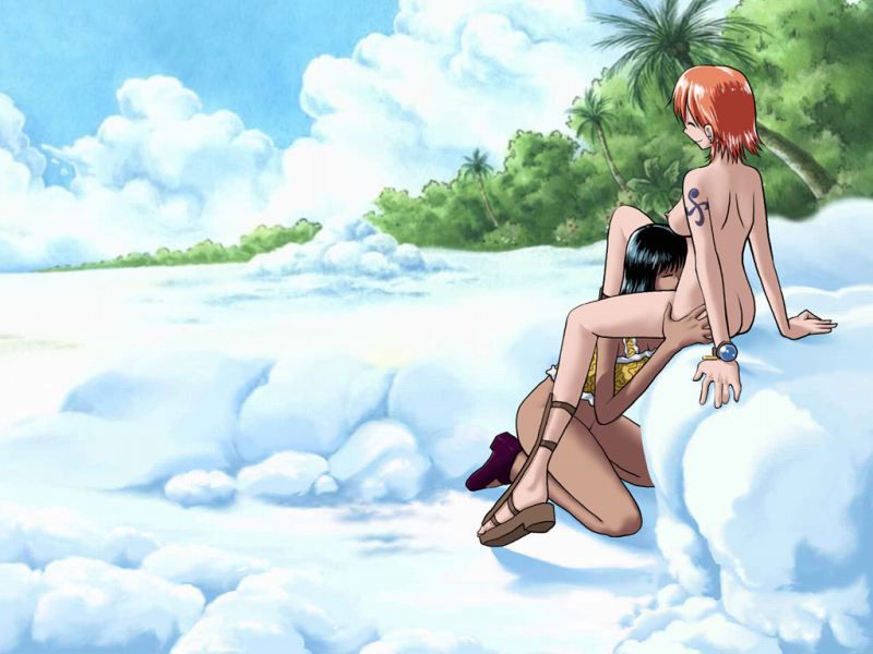 [One piece] Moe of Nami, cute secondary erotic image summary 29