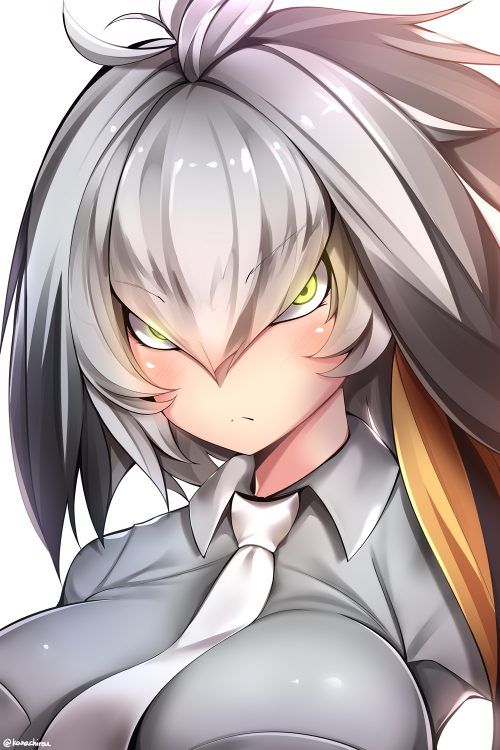 [Kemono Friends] Was there a secondary erotic image that such a transcendent eroero hasibilo is missing?! 17