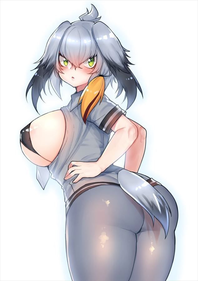 [Kemono Friends] Was there a secondary erotic image that such a transcendent eroero hasibilo is missing?! 29