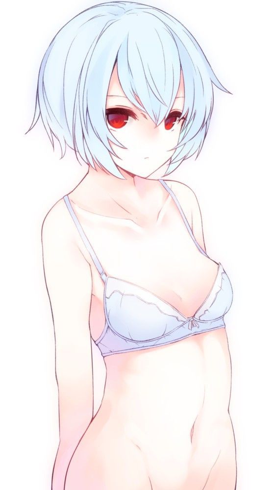 【Neon Genesis Evangelion】Ayanami Rei's Free Secondary Erotic Images 13