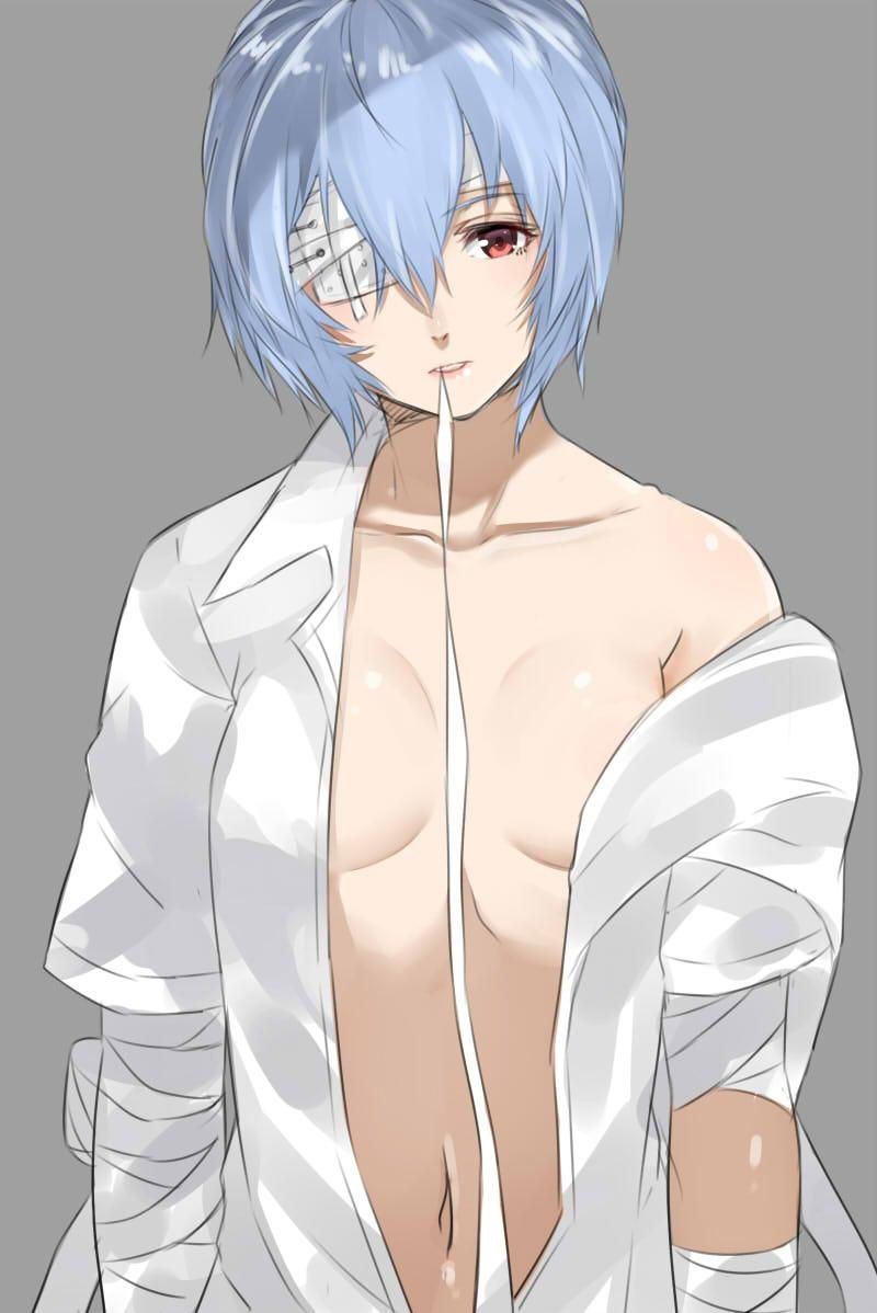 【Neon Genesis Evangelion】Ayanami Rei's Free Secondary Erotic Images 27