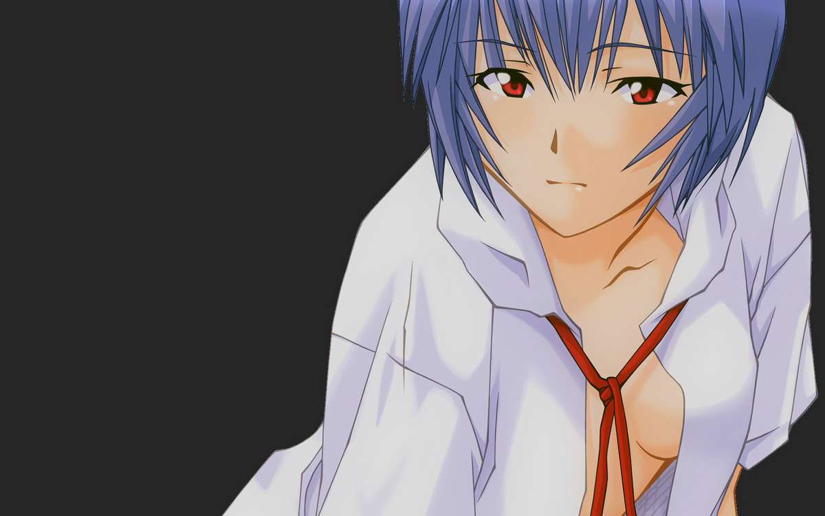 【Neon Genesis Evangelion】Ayanami Rei's Free Secondary Erotic Images 30