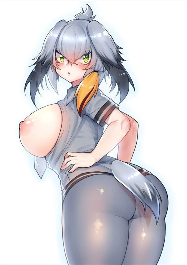 【Kemono Friends】Free (Free) Secondary Erotic Images Of Hashibilakou 16