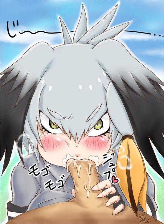 【Kemono Friends】Free (Free) Secondary Erotic Images Of Hashibilakou 17