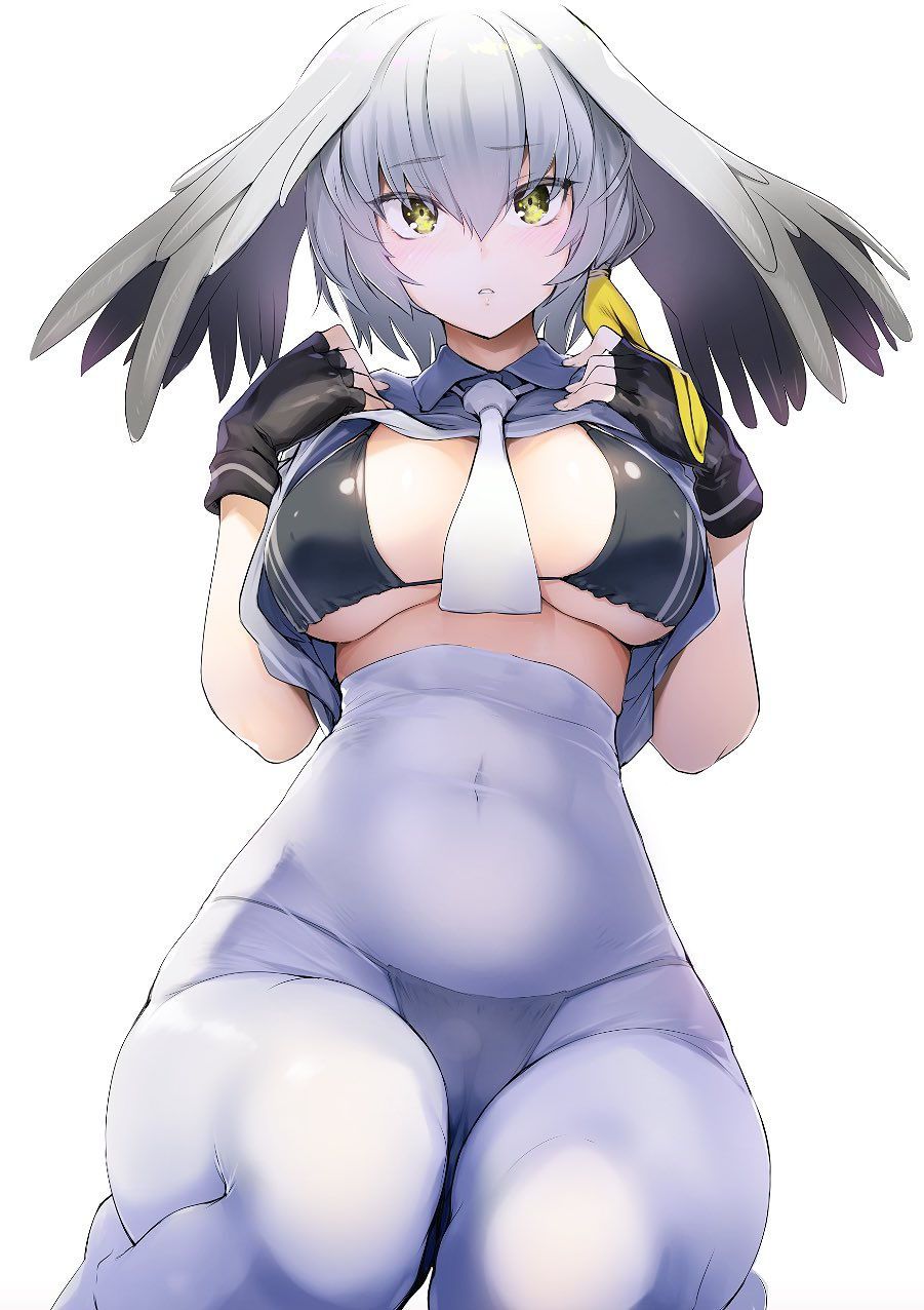 【Kemono Friends】Free (Free) Secondary Erotic Images Of Hashibilakou 24