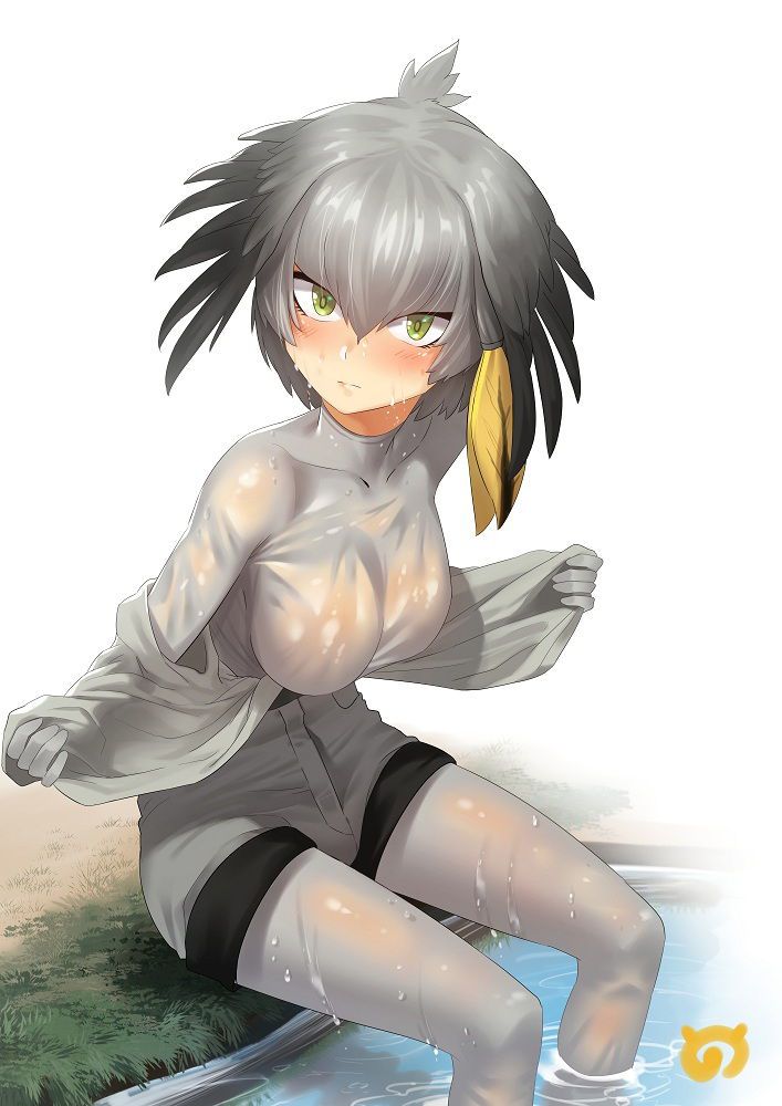 【Kemono Friends】Free (Free) Secondary Erotic Images Of Hashibilakou 38