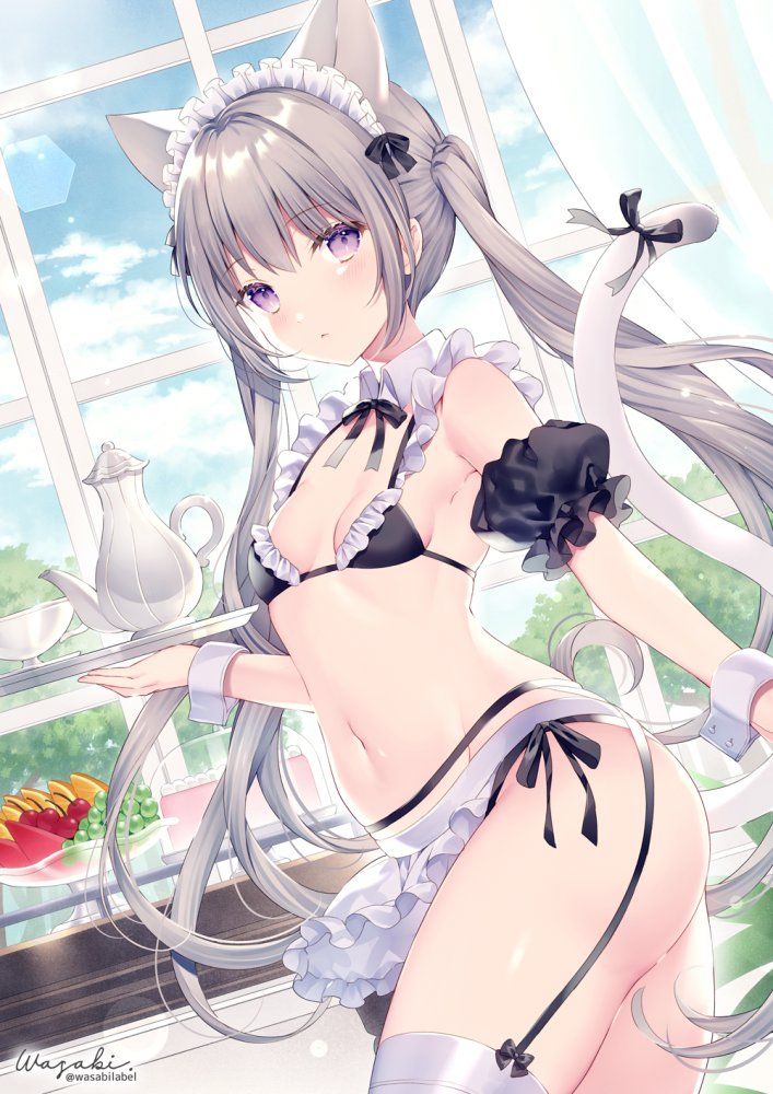 【Secondary】Silver Hair and Gray Hair Girl Image Part 7 1