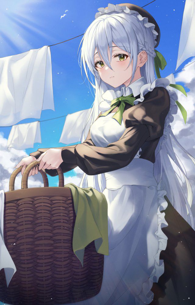 【Secondary】Silver Hair and Gray Hair Girl Image Part 7 36