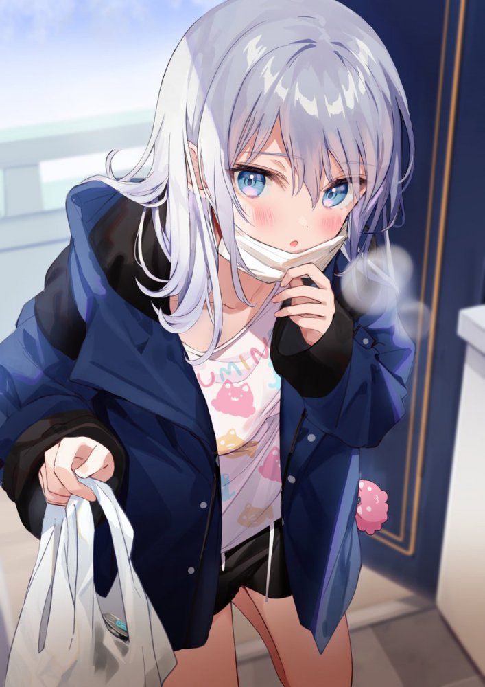 【Secondary】Silver Hair and Gray Hair Girl Image Part 7 41